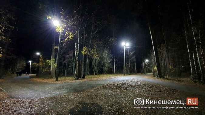 В центральном парке Кинешме восстановили освещение лыжероллерной трассы фото 5