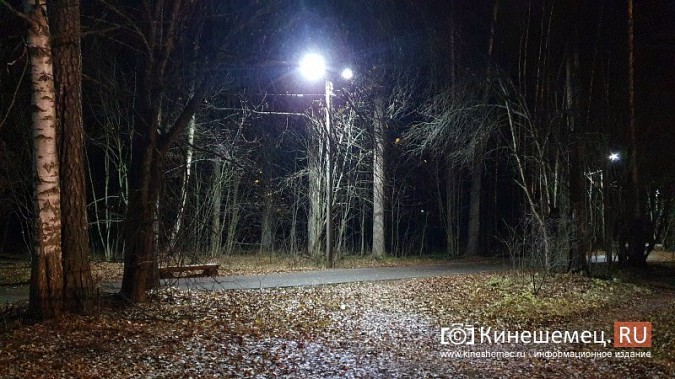 В центральном парке Кинешме восстановили освещение лыжероллерной трассы фото 6