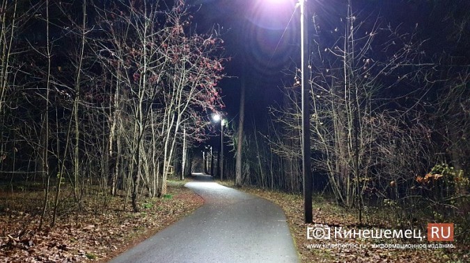 В центральном парке Кинешме восстановили освещение лыжероллерной трассы фото 2