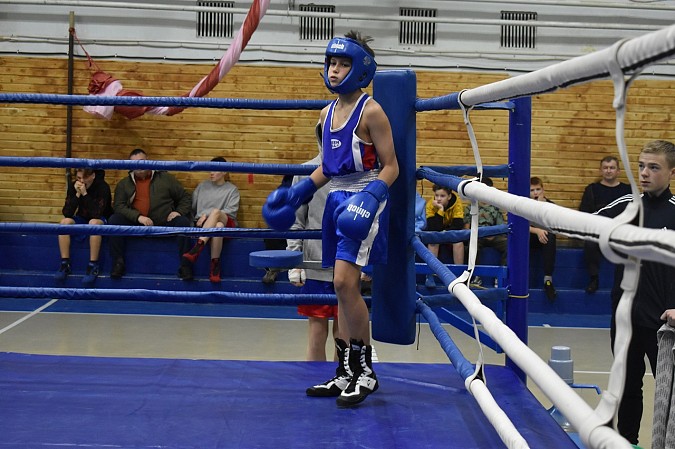 В Кинешме прошёл межрегиональный турнир по боксу памяти Владимира Королёва и Михаила Бодягина фото 8