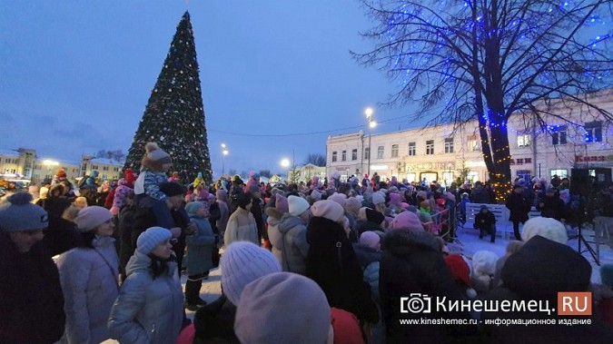 На главной новогодней ёлке Кинешмы зажгли огни фото 3