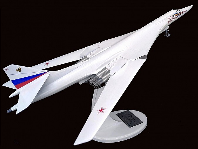 Василиса Сейфетдинова стала победителем онлайн-шоу масштабных моделей в Новосибирске фото 3