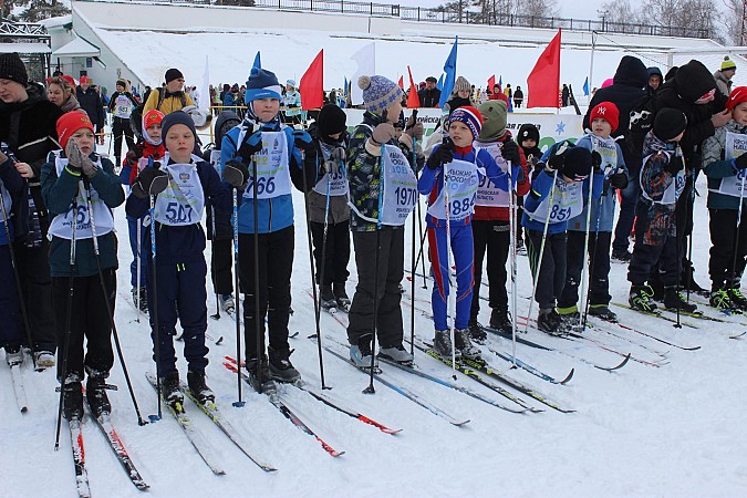 В Кинешме более 500 человек вышли на старт «Лыжни России» фото 20