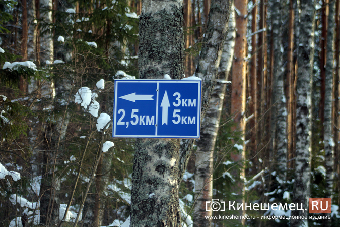 На уникальной трассе в «Лапшихе» прошла лыжная эстафета памяти Станислава Смирнова фото 17