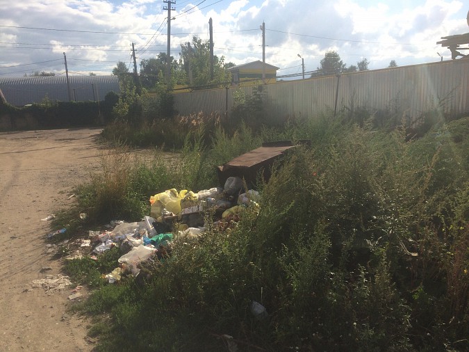 «Кинешма помойная» — мусорных завалов в городе всё больше фото 2