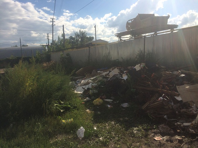 «Кинешма помойная» — мусорных завалов в городе всё больше фото 5