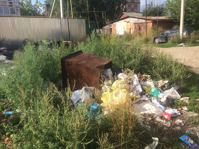 «Кинешма помойная» — мусорных завалов в городе всё больше фото 4