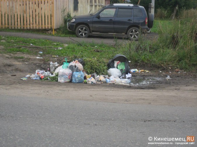 «Аллея бытовых отходов» в Кинешме фото 2