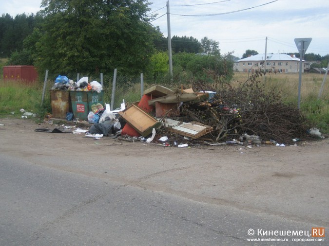 «Аллея бытовых отходов» в Кинешме фото 4