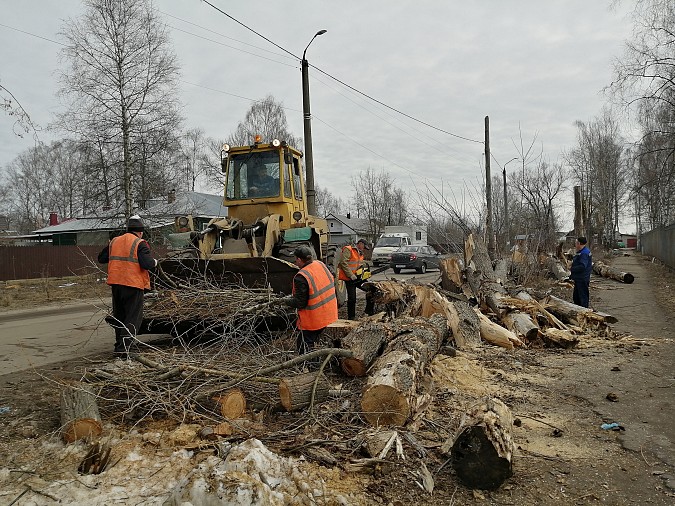 Коммунальщики очистили от аварийных деревьев улицу Кривоногова фото 3