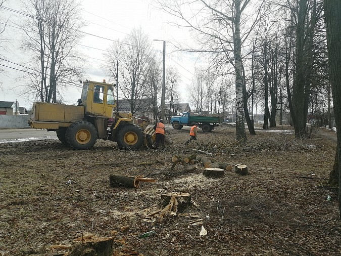 Коммунальщики очистили от аварийных деревьев улицу Кривоногова фото 5