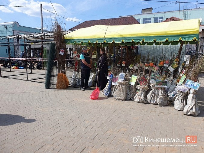 На центральном рынке Кинешмы открывается сельхозярмарка фото 2