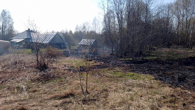 Сотрудники колонии-поселения №12 тушили пожар в Кинешемском районе фото 2