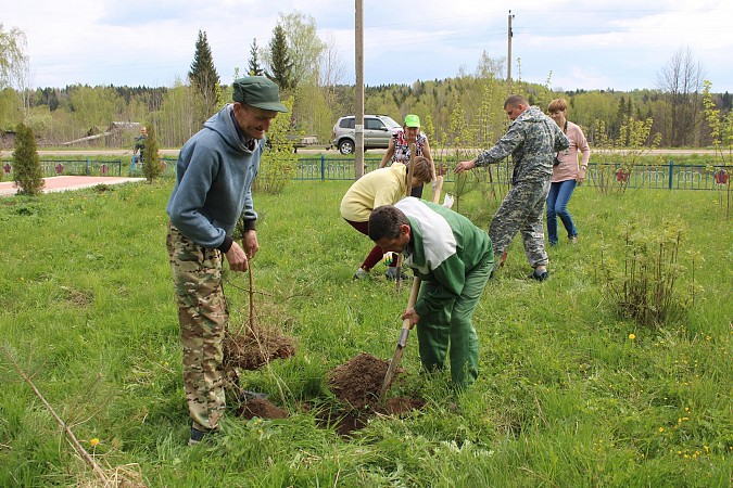 У памятника участникам ВОВ в деревне Осташево высадили 30 сосен фото 8
