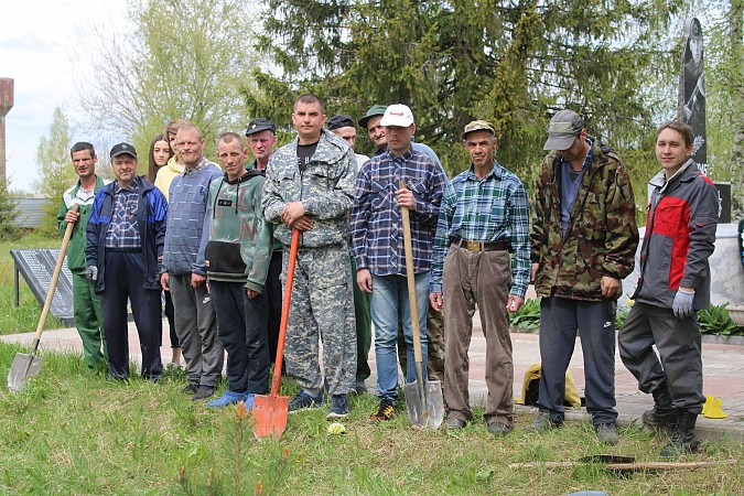 У памятника участникам ВОВ в деревне Осташево высадили 30 сосен фото 6