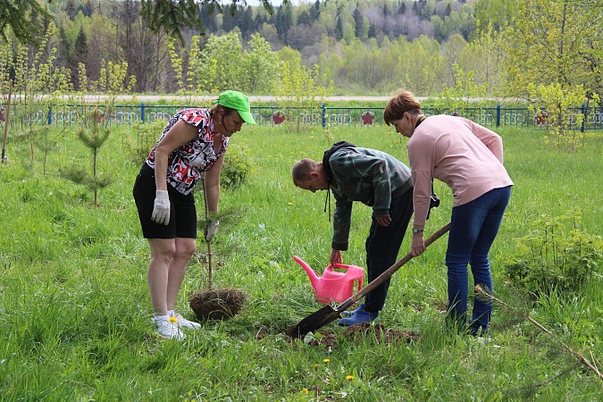 У памятника участникам ВОВ в деревне Осташево высадили 30 сосен фото 5
