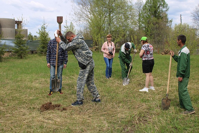 У памятника участникам ВОВ в деревне Осташево высадили 30 сосен фото 9