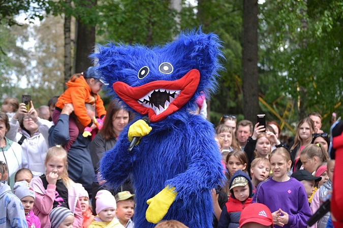 В Кинешме прошёл семейный праздник «День батутов» фото 12