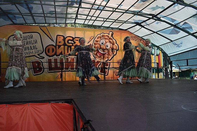 В Кинешме впервые состоялся большой семейный фестиваль  «Вся фишка в шишке» фото 61