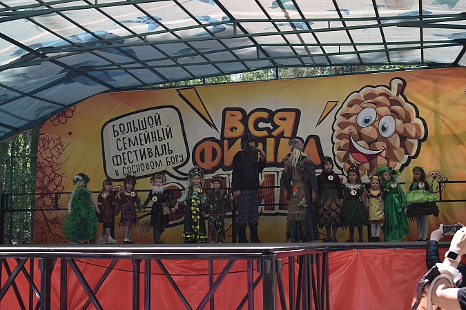 В Кинешме впервые состоялся большой семейный фестиваль  «Вся фишка в шишке» фото 25