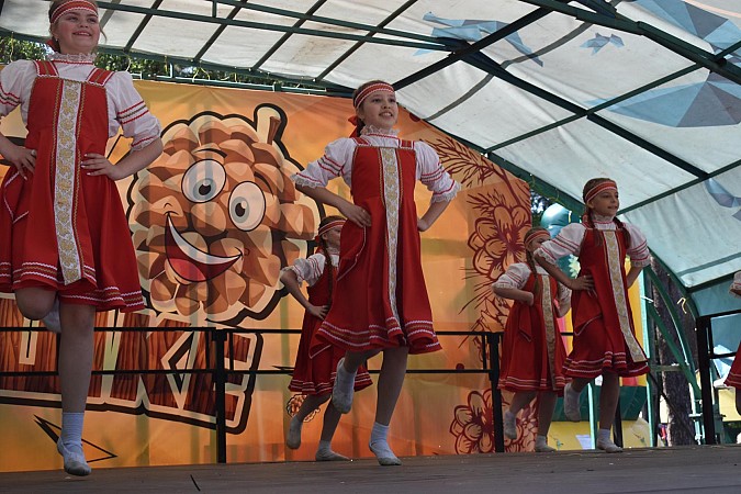 В Кинешме впервые состоялся большой семейный фестиваль  «Вся фишка в шишке» фото 41