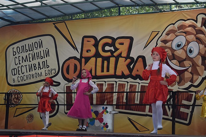 В Кинешме впервые состоялся большой семейный фестиваль  «Вся фишка в шишке» фото 4