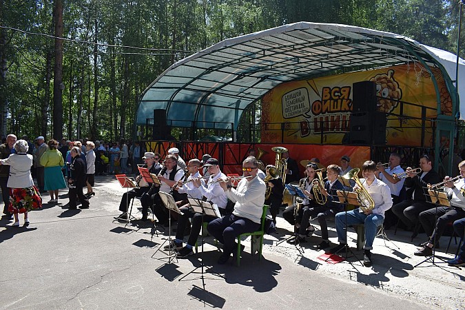 В Кинешме впервые состоялся большой семейный фестиваль  «Вся фишка в шишке» фото 2