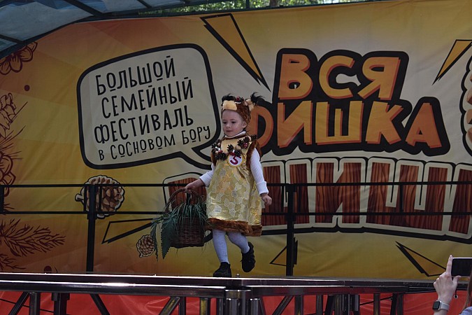 В Кинешме впервые состоялся большой семейный фестиваль  «Вся фишка в шишке» фото 12