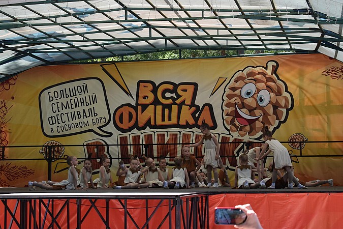 В Кинешме впервые состоялся большой семейный фестиваль  «Вся фишка в шишке» фото 3