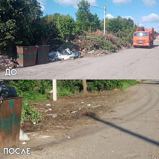 С кинешемских свалок вывезли ещё 930 кубических метров веток и мусора фото 4