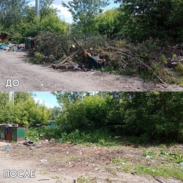 С кинешемских свалок вывезли еще 480 кубометров веток и мусора фото 4