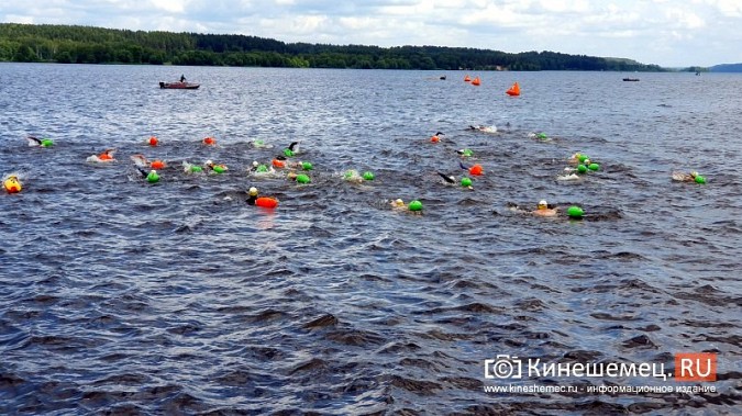 В Кинешме состоялись соревнования по плаванию на открытой воде «Swimcup – Волга» фото 2