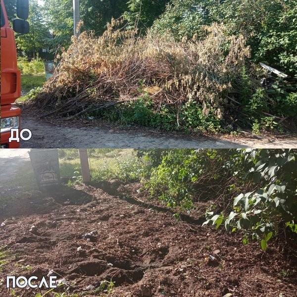 С кинешемских свалок вывезли еще 750 кубических метров веток и мусора фото 2