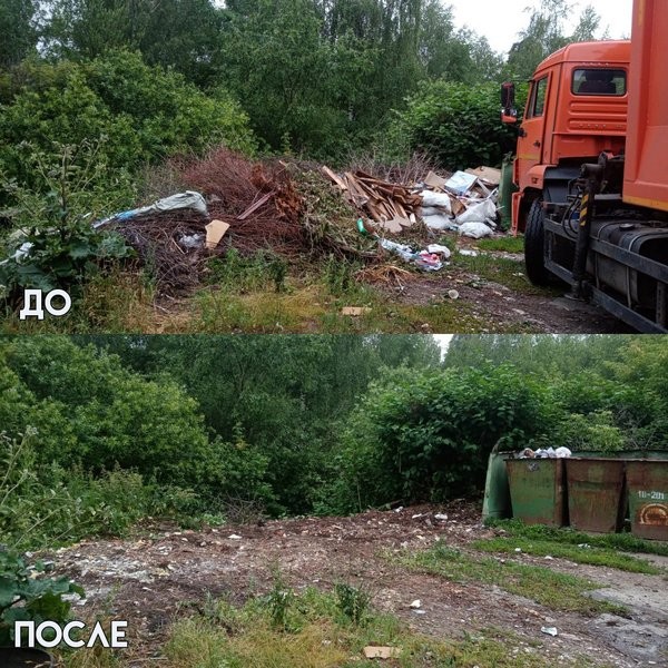 С кинешемских свалок вывезли еще 750 кубических метров веток и мусора фото 4