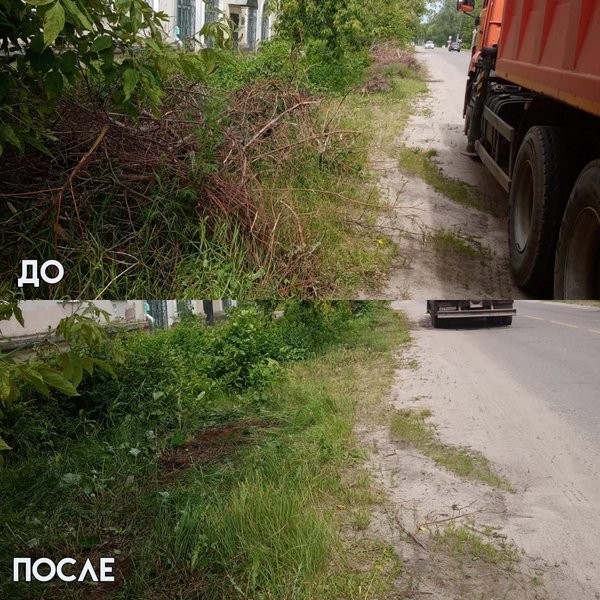 С кинешемских свалок вывезли ещё 530 кубических метров веток и мусора фото 5