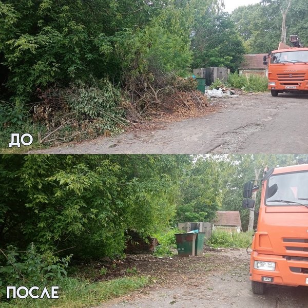 С кинешемских свалок вывезли ещё 530 кубических метров веток и мусора фото 2