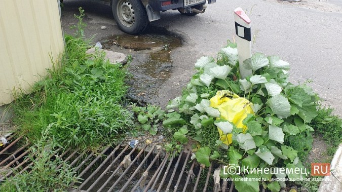 В центре Кинешмы у будущего «Порта культуры и отдыха» вторую неделю из люка течёт вода фото 2