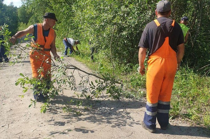 В Кинешемском районе приступили к ремонту участка дороги Велизанец-Тарасиха фото 4