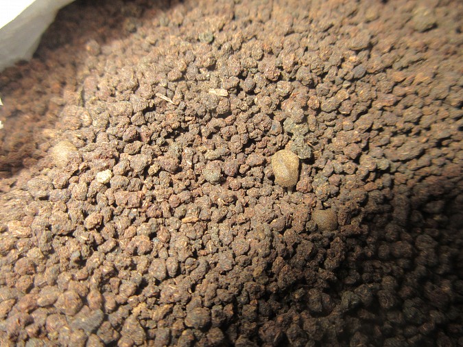 В Кинешемскую колонию пытались в чае пронести наркотики фото 3