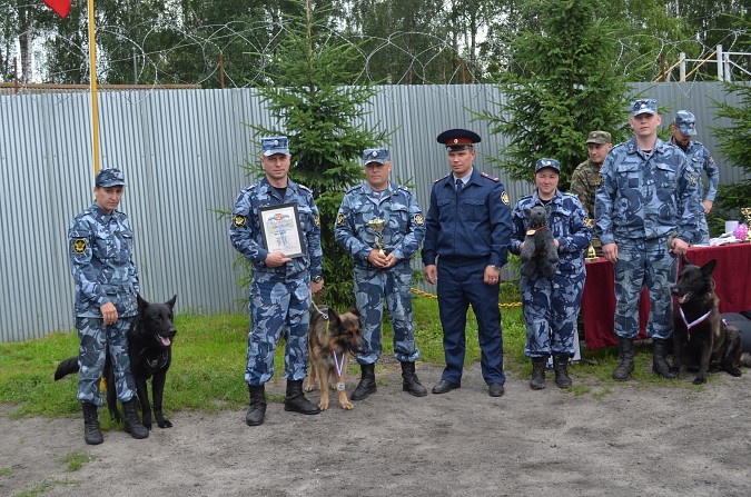 Фото военных кинологов