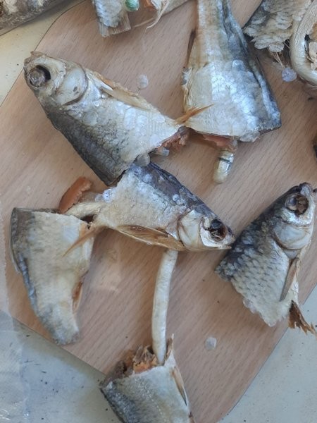 Наркотики для осужденного ИК-2 спрятали в вобле фото 2