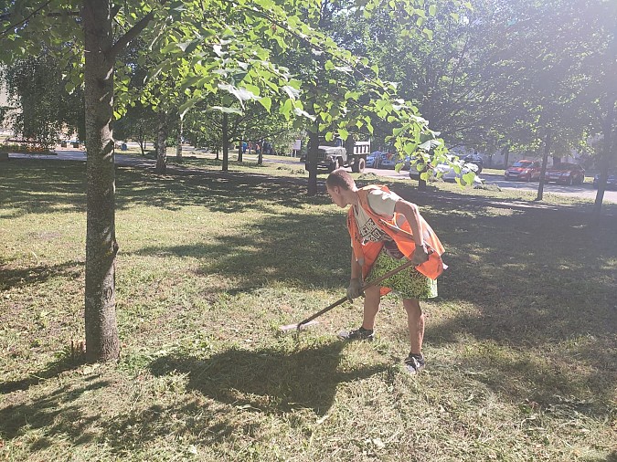 УГХ скосило траву на Волжском бульваре фото 2