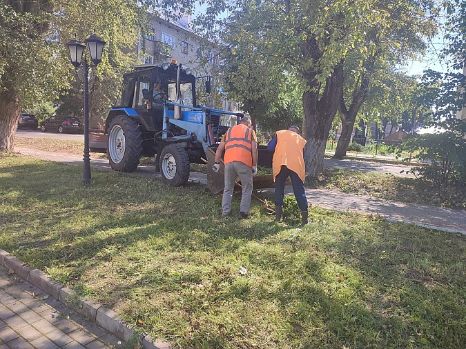 УГХ скосило траву на Волжском бульваре фото 3