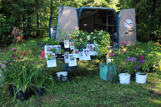 В Кинешемском районе прошла Макарьев-Решемская ярмарка фото 3