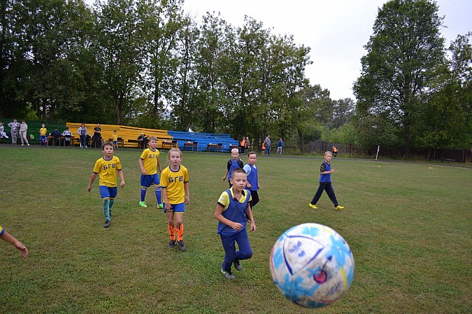 «Наши надежды-2015 г» завоевали серебряные награды на турнире в Старой Вичуге фото 11