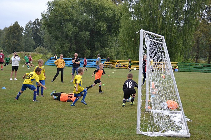 «Наши надежды-2015 г» завоевали серебряные награды на турнире в Старой Вичуге фото 9