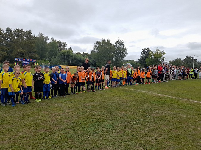 «Наши надежды-2015 г» завоевали серебряные награды на турнире в Старой Вичуге фото 8