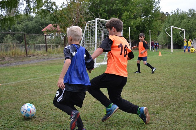 «Наши надежды-2015 г» завоевали серебряные награды на турнире в Старой Вичуге фото 13
