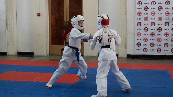 Кинешемцы завоевали награды на первенстве Тейкова по киокусинкай фото 5