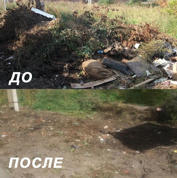 С улиц Кинешмы вывезено 883 кубических метра веток и мусора фото 2